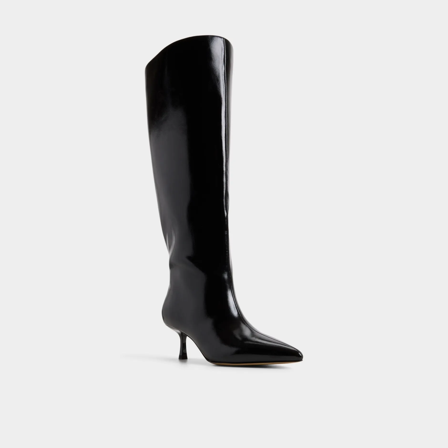 ALDO Black Boots|Dress Boots^Selora-wc Black