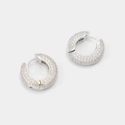 ALDO Accessories|Earrings^Strigidae Silver/clear multi